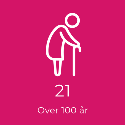 Over 100 Aar Silkeborg